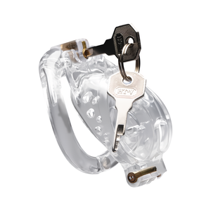 Double Lockdown  Lockable Adjustable Chastity Cage