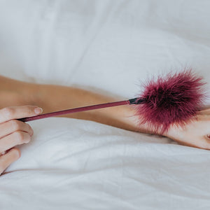 Feather Tool - Purple - EroticToyzProducten,Toys,Fetish,Slaan en Plagen,Veren,Nieuwe Producten,,GeslachtsneutraalMy Own Filo