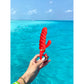 G - Candy Mini - Chili Coral - EroticToyzProducten,Toys,Vibrators,Rabbit Vibrators,,VrouwelijkG - Vibe