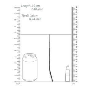 Roestvrijstalen Dilator - 6 mm voor Urethrale Stimulatie - EroticToyzProducten,Toys,Toys voor Mannen,Urethrale Toys,,MannelijkOuch! by Shots