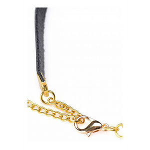 Posh Pet - Narrow Leather Collar with Gold Details