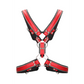 Z Series Scottish Harness - XL